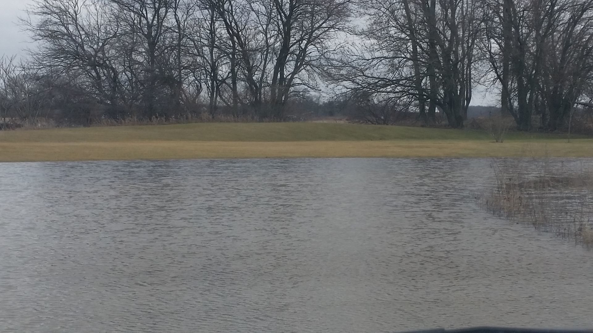Flood
